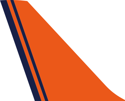 파일:시티항공 꼬리.svg