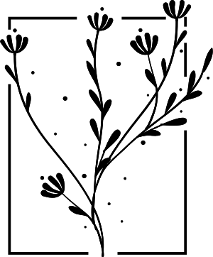 슈뢰더스튜디오 브랜딩로고.svg