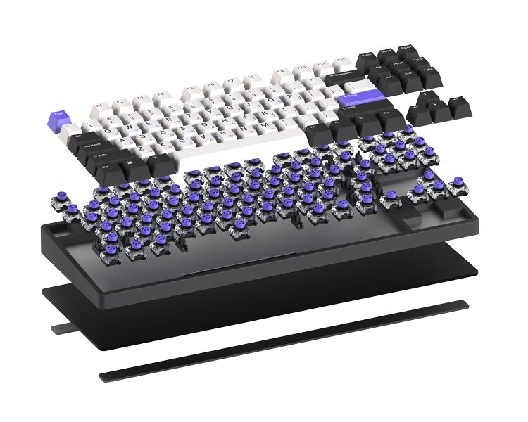 파일:Frism AirBoard 2024 2.jpg