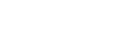 파일:BNNw.svg