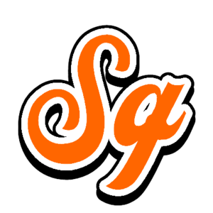 JisanSeagulls hatlogoback.png