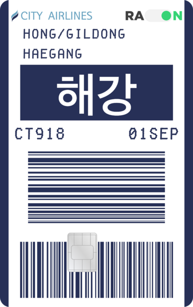 파일:라온시티에어라인2.png