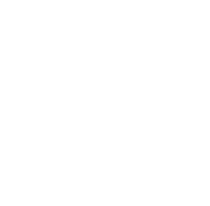 성안시w.svg