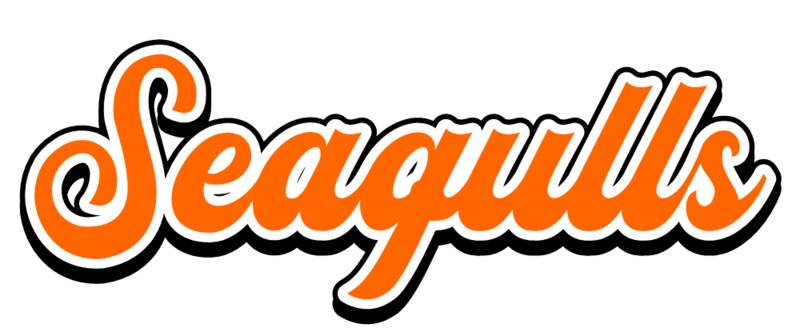 파일:JisanSeagulls Wordmark.png