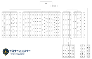 연화대학교 의과대학 기구표.png