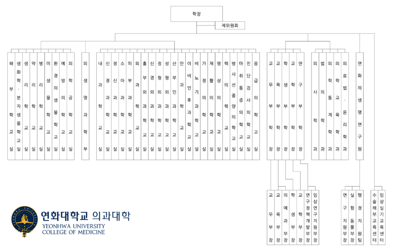 파일:연화대학교 의과대학 기구표.png