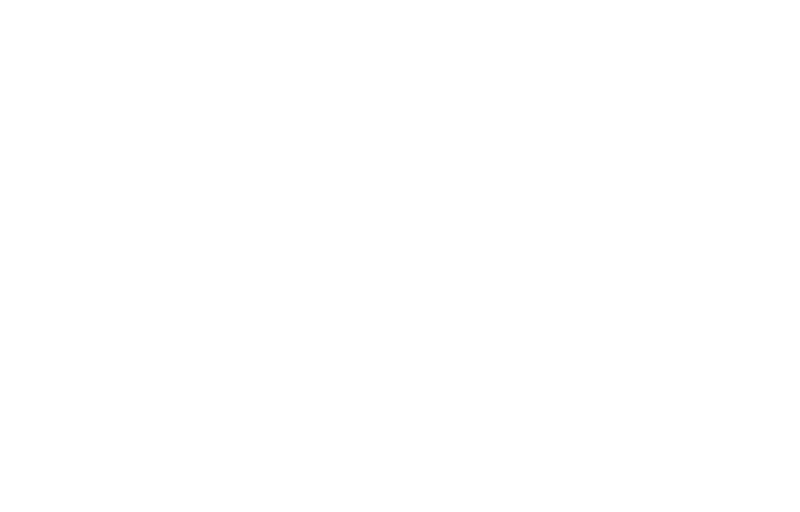 파일:TVT 뉴스나이트.svg