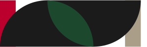 더하이백화점20242.svg