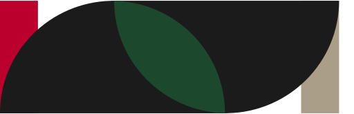 파일:더하이백화점20242.svg