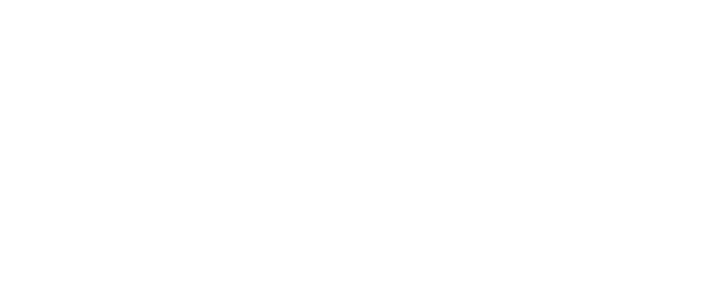 파일:Spacestoreslogowhite.png
