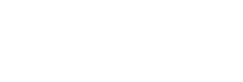 파일:Spacelogowhite.png