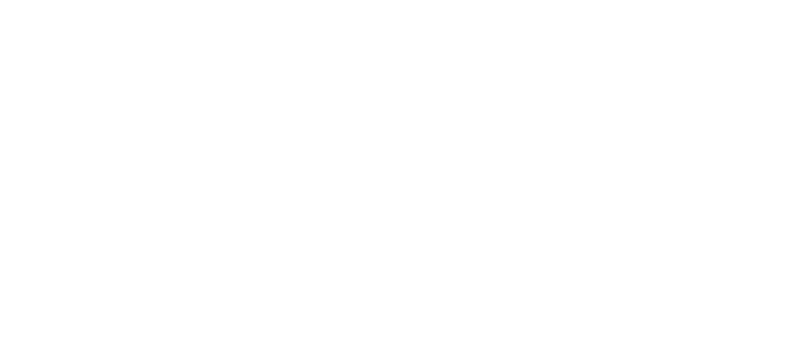 파일:플라이트.svg