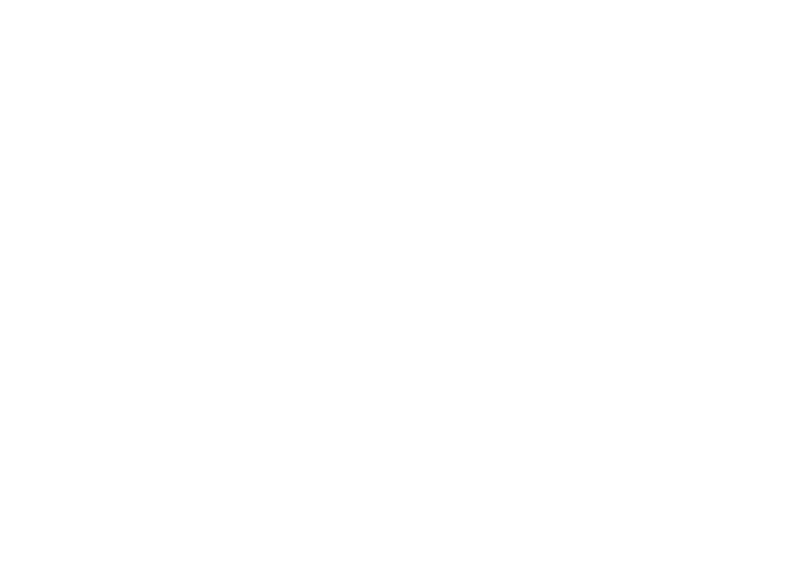 파일:TVT news.svg